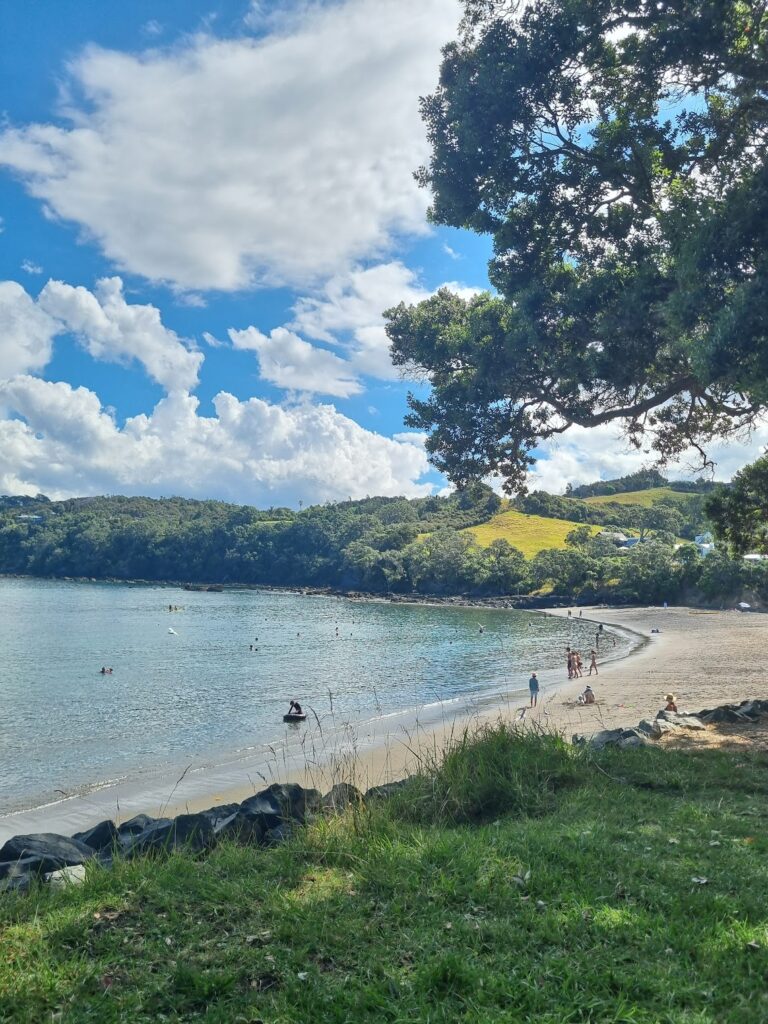 A New Zealand beach scene